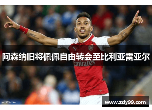 阿森纳旧将佩佩自由转会至比利亚雷亚尔